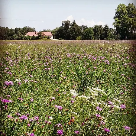 Le Vicus Apartamento Eckbolsheim